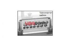 Трансплантат-шаблон